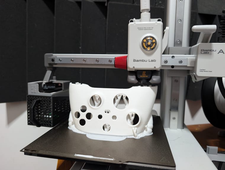 A1 Mini print_00001.jpg